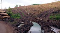 Bild: An der Neust&auml;dter Staumauer 