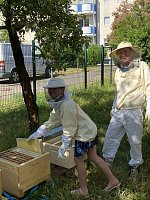 Bild: Bienen-Team