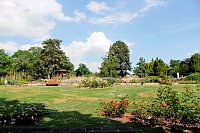 Bild: Kr&ouml;nung der Rosenk&ouml;nigin in Sangerhausen