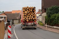 Kalamitätsholzfahrten bringen Buchholz in Kalamitäten Bild: Kalamitätsholzfahrten bringen Buchholz in Kalamitäten