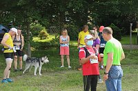Bild: Harztorlauf 2021