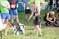 Bild: Harztorlauf 2021
