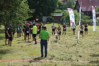 Bild: Harztorlauf 2021