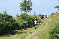 Bild: Harztorlauf 2021