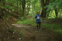 Bild: Harztorlauf 2021