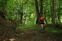 Bild: Harztorlauf 2021