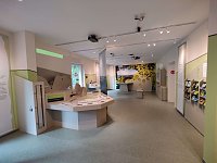 Bild: Peter Blei im Neuen Schloss Neustadt