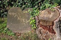 Bild: Gr&auml;ber die Geschichten erz&auml;hlen - Eindr&uuml;cke vom j&uuml;dischen Friedhof in Nordhausen