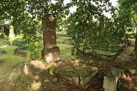Bild: Gr&auml;ber die Geschichten erz&auml;hlen - Eindr&uuml;cke vom j&uuml;dischen Friedhof in Nordhausen