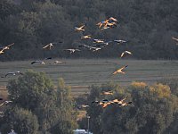 Bild: Peter Blei unterwegs am Stausee Kelbra
