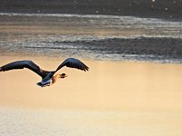Bild: Peter Blei unterwegs am Stausee Kelbra