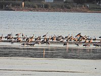 Bild: Peter Blei unterwegs am Stausee Kelbra
