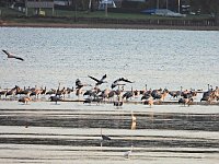 Bild: Peter Blei unterwegs am Stausee Kelbra