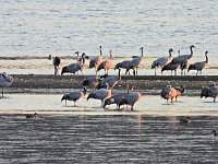 Bild: Peter Blei unterwegs am Stausee Kelbra