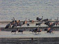 Bild: Peter Blei unterwegs am Stausee Kelbra