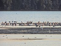 Bild: Peter Blei unterwegs am Stausee Kelbra