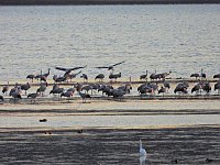 Bild: Peter Blei unterwegs am Stausee Kelbra