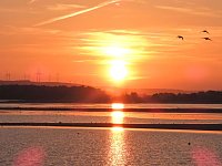 Bild: Peter Blei unterwegs am Stausee Kelbra