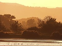 Bild: Peter Blei unterwegs am Stausee Kelbra