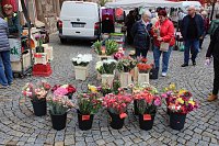 Bild: Herbstmarkt in Nordhausen 