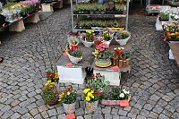 Bild: Herbstmarkt in Nordhausen 