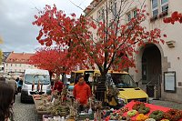 Bild: Herbstmarkt in Nordhausen 