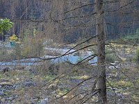 Bild: Unterwegs in Schierke