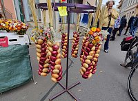 Bild: Zwiebelmarkt in Artern