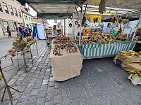 Bild: Zwiebelmarkt in Artern