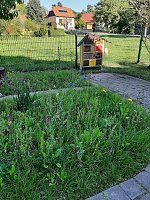 Bild: Aufregende Tag bei den Hohensteiner Burgspatzen