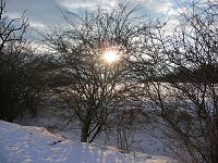 Winterbilder Bild: Winterbilder