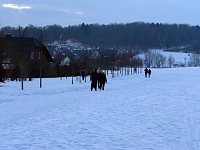 Winterbilder Bild: Winterbilder