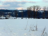 Winterbilder Bild: Winterbilder