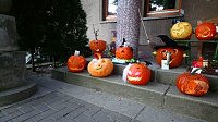 Bild: Mit sch&ouml;n geschnitzten K&uuml;rbissen startet man am Domschl&ouml;sschen in den Herbst