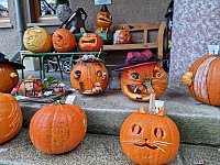 Bild: Mit sch&ouml;n geschnitzten K&uuml;rbissen startet man am Domschl&ouml;sschen in den Herbst