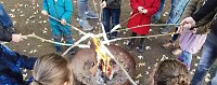 Bild: Mit sch&ouml;n geschnitzten K&uuml;rbissen startet man am Domschl&ouml;sschen in den Herbst