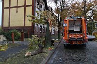 Bild: Umgeknickte Eiche in der Neanderstra&szlig;e