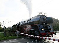 Bild: Halt in der Goldenen Aue