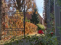 Herbstimpressionen Bild: Herbstimpressionen