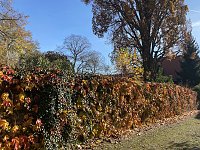 Herbstimpressionen Bild: Herbstimpressionen
