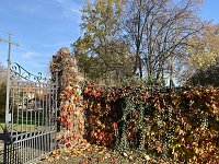 Herbstimpressionen Bild: Herbstimpressionen