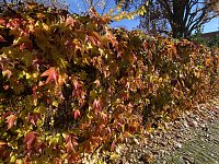 Herbstimpressionen Bild: Herbstimpressionen