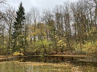 Herbstimpressionen Bild: Herbstimpressionen