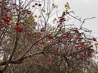Herbstimpressionen Bild: Herbstimpressionen