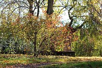 Herbstimpressionen Bild: Herbstimpressionen