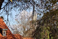 Herbstimpressionen Bild: Herbstimpressionen