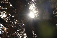 Herbstimpressionen Bild: Herbstimpressionen
