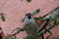 Herbstimpressionen Bild: Herbstimpressionen