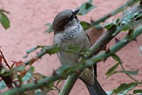 Herbstimpressionen Bild: Herbstimpressionen