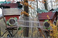 Herbstimpressionen Bild: Herbstimpressionen